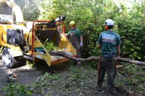 tree services Pollock Pines